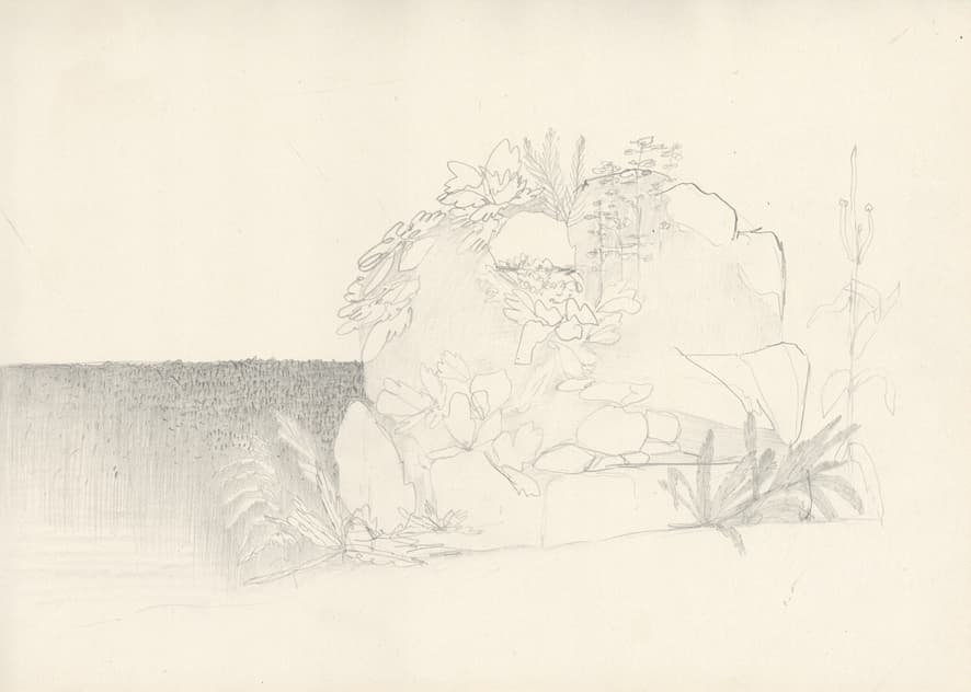 Postcard from the Limited Postcard Edition 2023